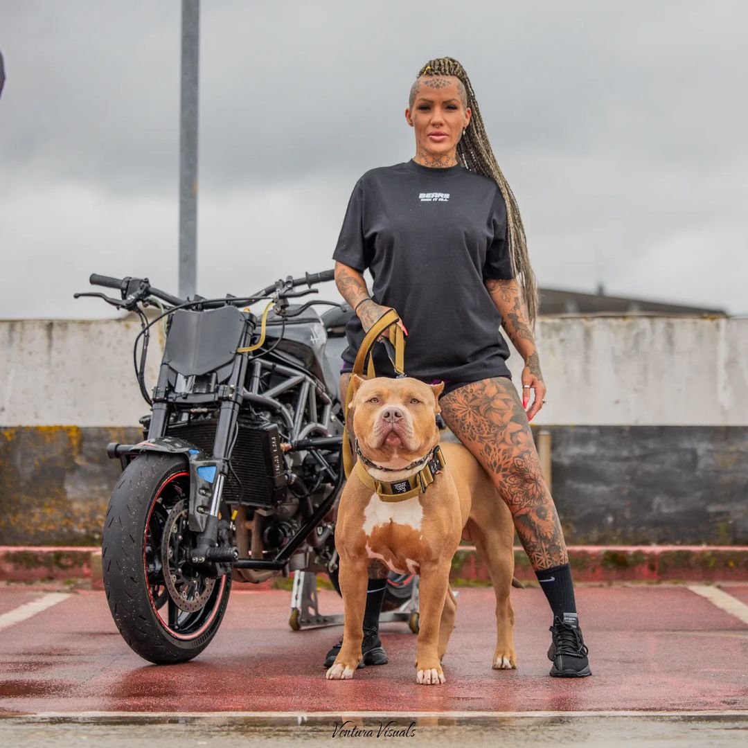 Bestia Dog Sport GripPro Handle Collar